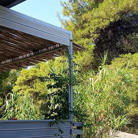 Aloe Tatil Evi *
